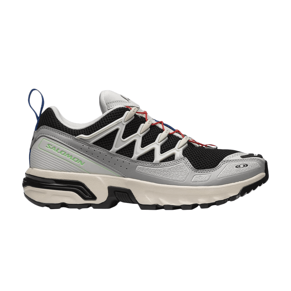 Кроссовки Salomon ACS+ OG 'Black Lunar Rock'