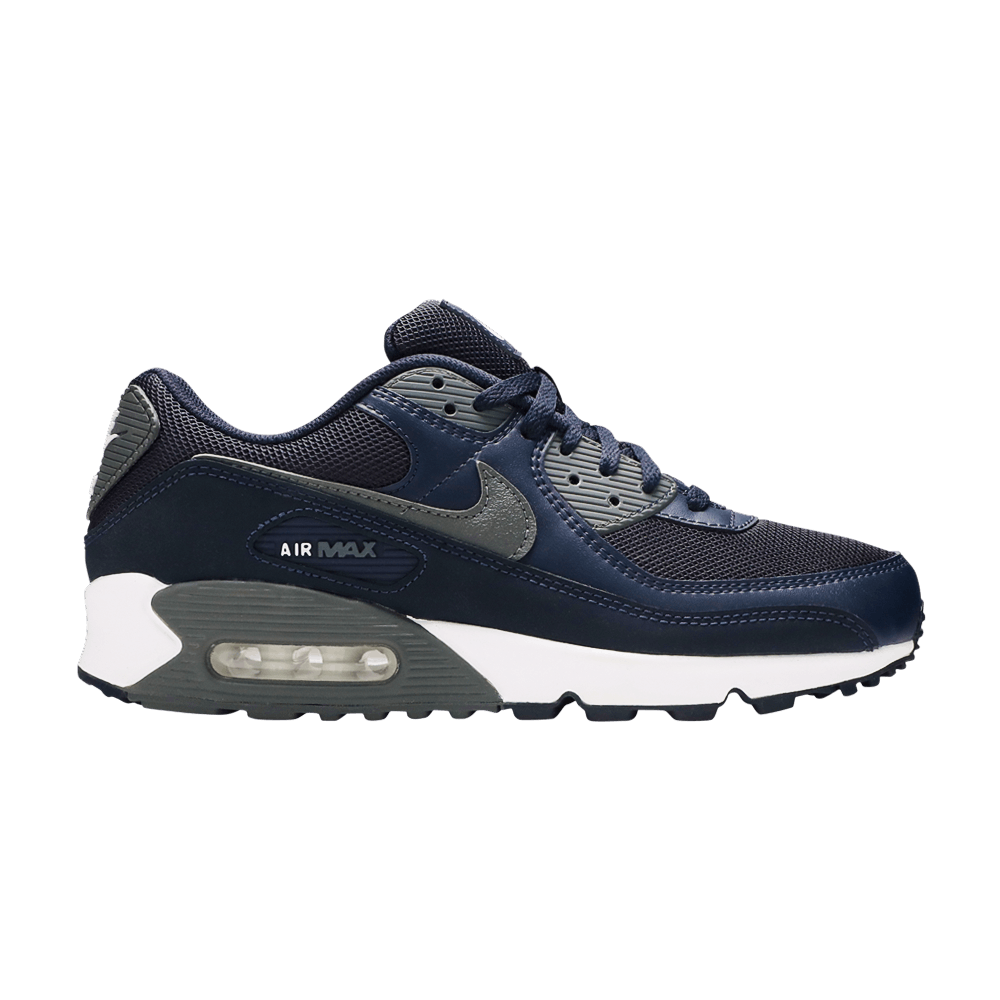 air-max-90-obsidian-iron-grey-dh4095-400
