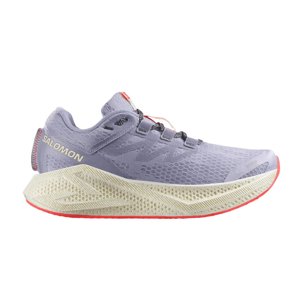 Кроссовки Salomon Wmns Aero Glide 3 'Cosmic Sky'