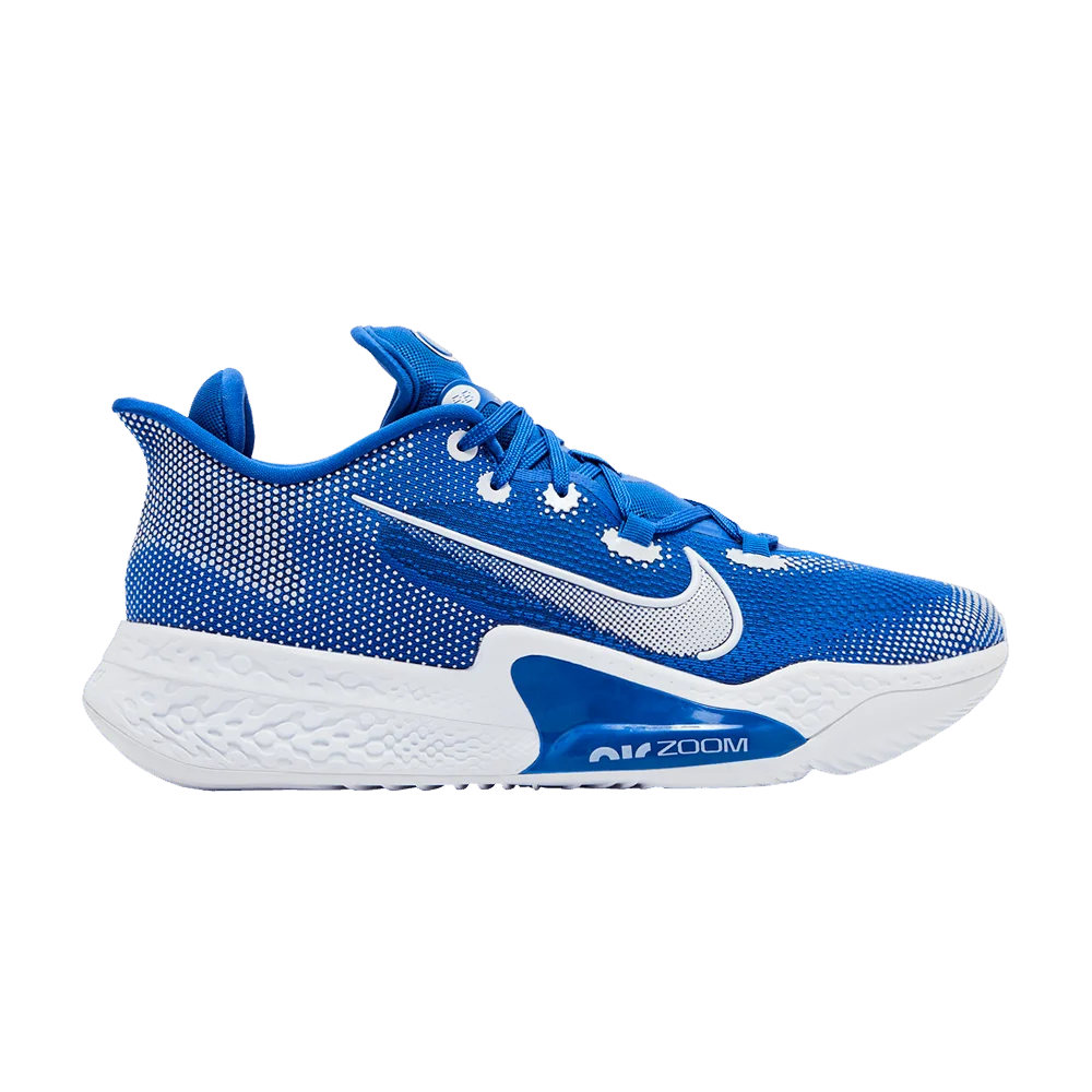 Krossovki-Nike-Air-Zoom-BB-NXT-TB-Game-Royal