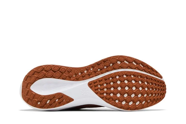 Кроссовки Nike Air Zoom Pegasus 41 'Texas 2024'