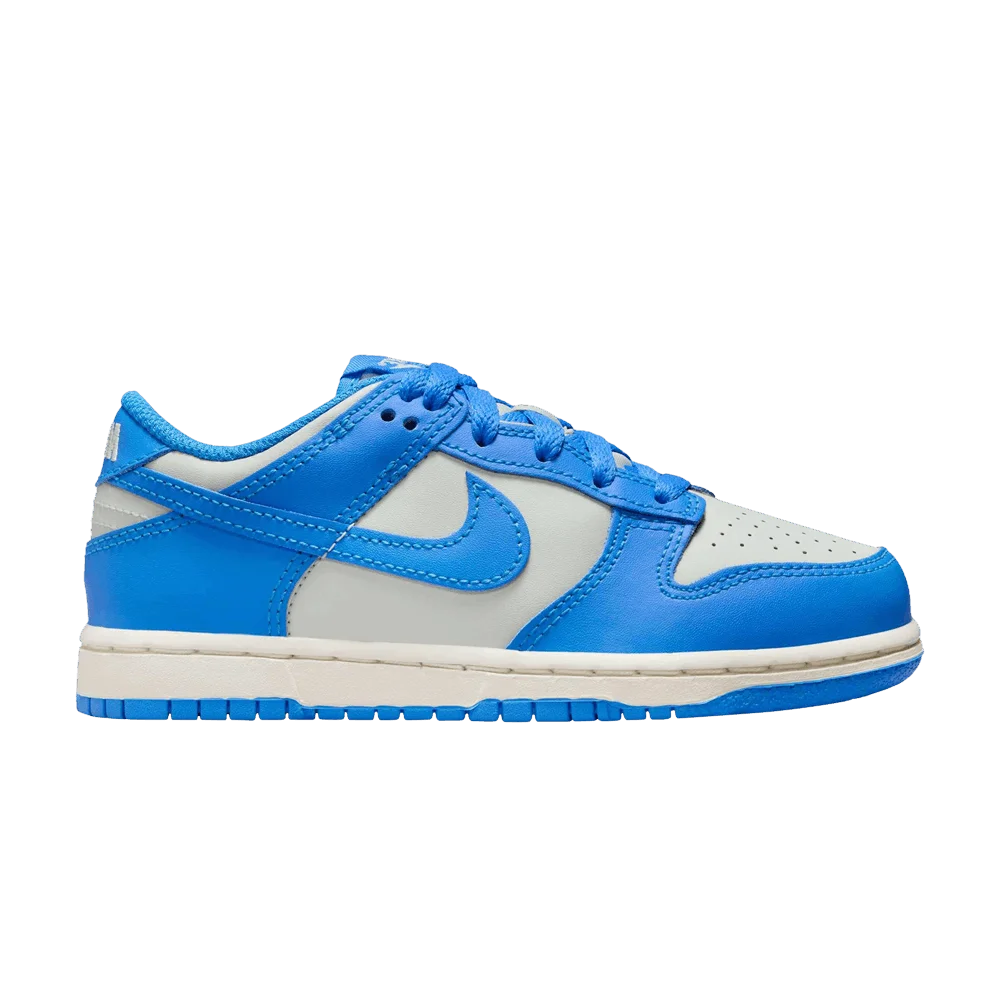 Кроссовки Nike Dunk Low PS 'Light Photo Blue Silver'