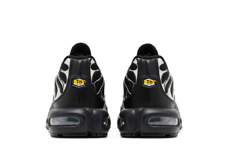 Кроссовки Nike Wmns Air Max Plus SE 'Black Chrome Silver'