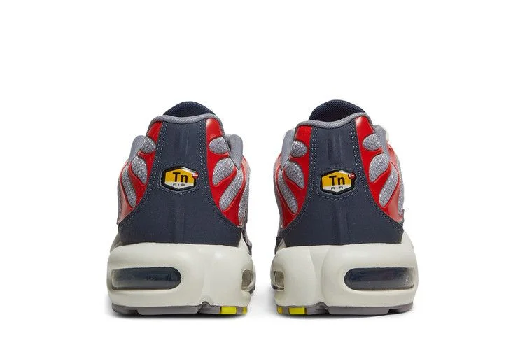 Кроссовки Nike Air Max Plus 'Grey USA'