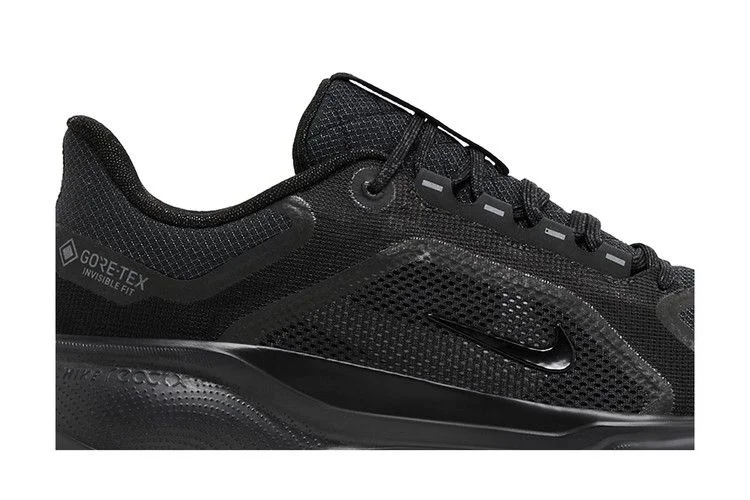 Krossovki-Nike-Air-Zoom-Pegasus-41-GORE-TEX-Black-Anthracite-1