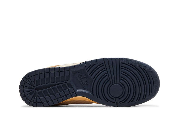dunk-low-sketch-exploration-hq3640-790_03
