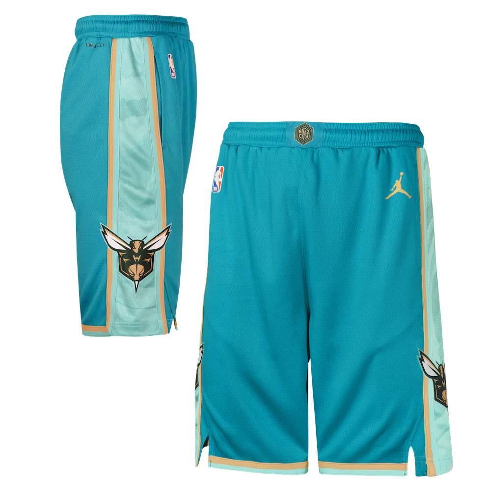 Спортивные шорты Nike Charlotte Hornets 2024 City Edition Swingman Youth NBA Shorts