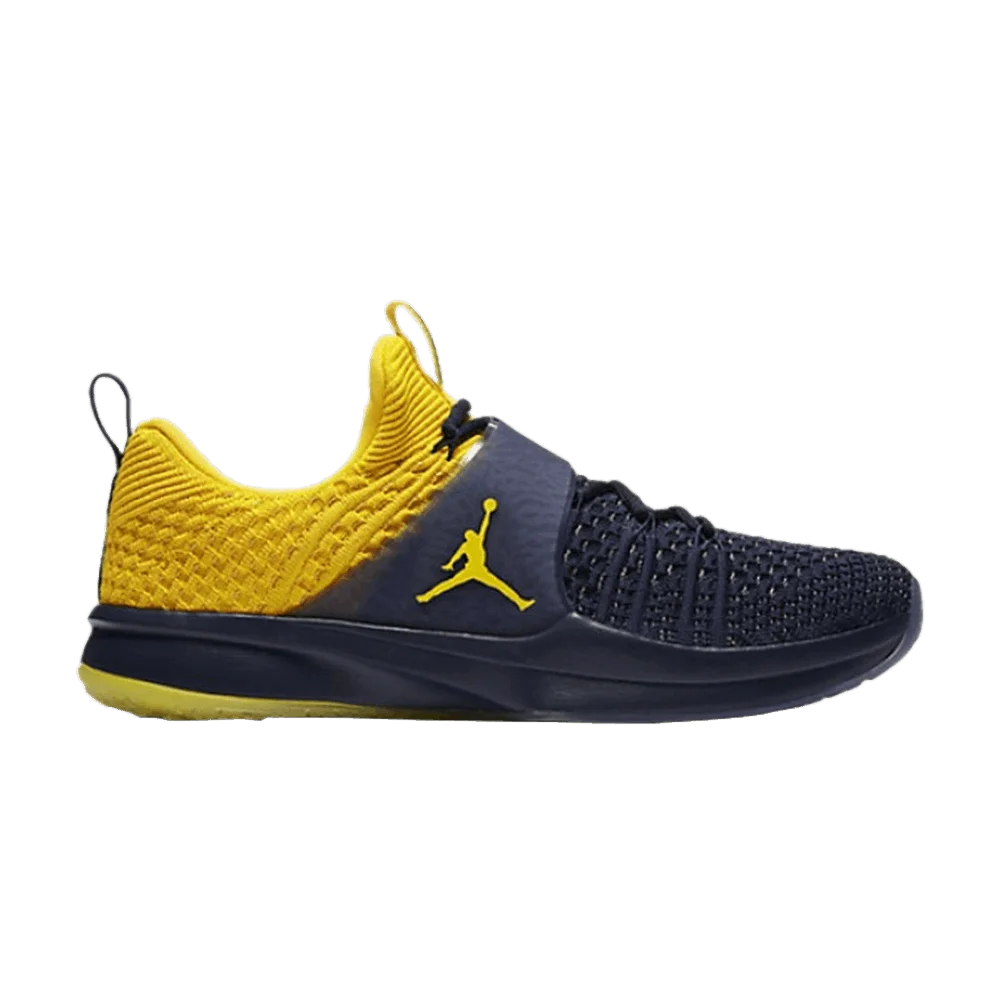 Krossovki-Air-Jordan-Trainer-2-Flyknit-Michigan