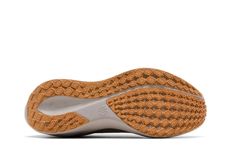 Кроссовки Nike Wmns Air Zoom Pegasus 41 'Phantom Mink Brown'