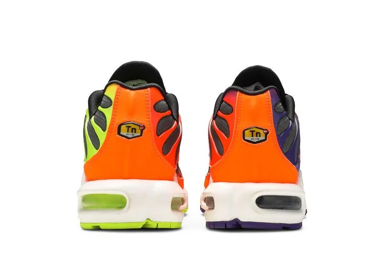 Кроссовки Nike Air Max Plus 'Color Flip'