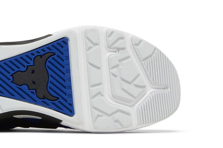 Кроссовки Under Armour Project Rock 4 'Royal'