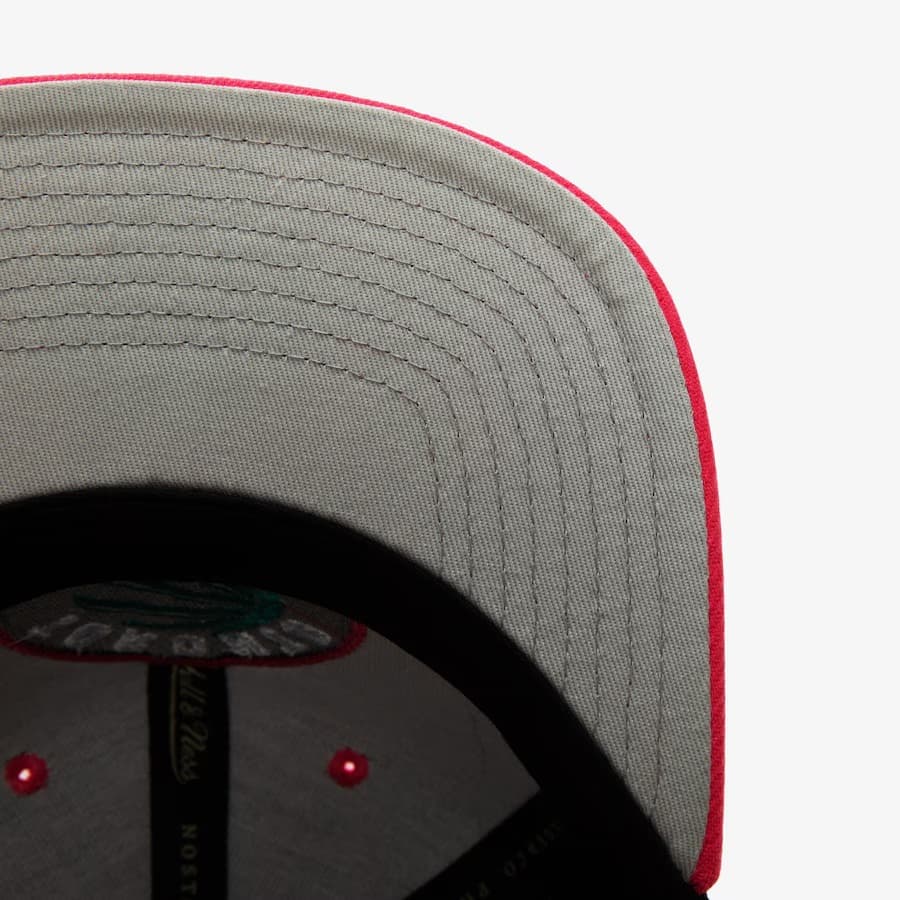 Бейсболка Mitchell & Ness Black Toronto Raptors Santa Ana 2-Tone Snapback Hat
