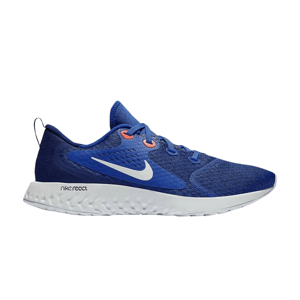 Krossovki-Nike-Legend-React-Indigo-Force