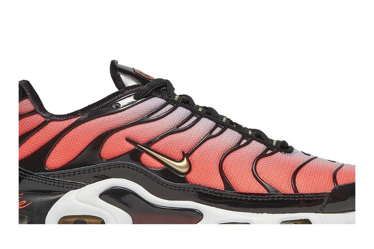 Кроссовки Nike Wmns Air Max Plus 'Sisterhood'