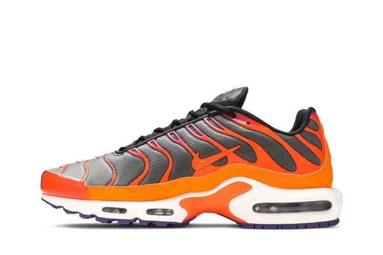 Кроссовки Nike Air Max Plus 'Color Flip'