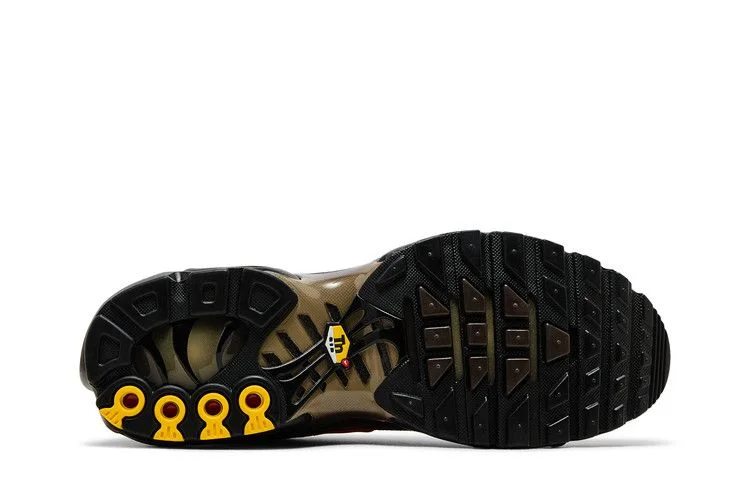 Кроссовки Nike Air Max Plus 'Baroque Brown'