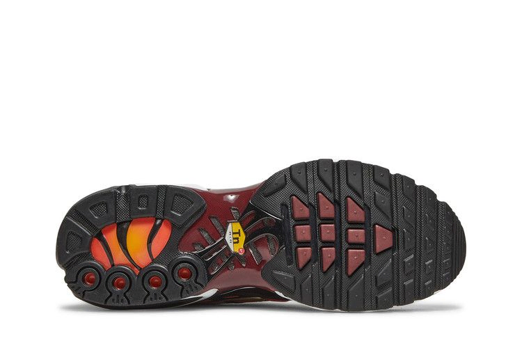 Кроссовки Nike Wmns Air Max Plus 'Sisterhood'