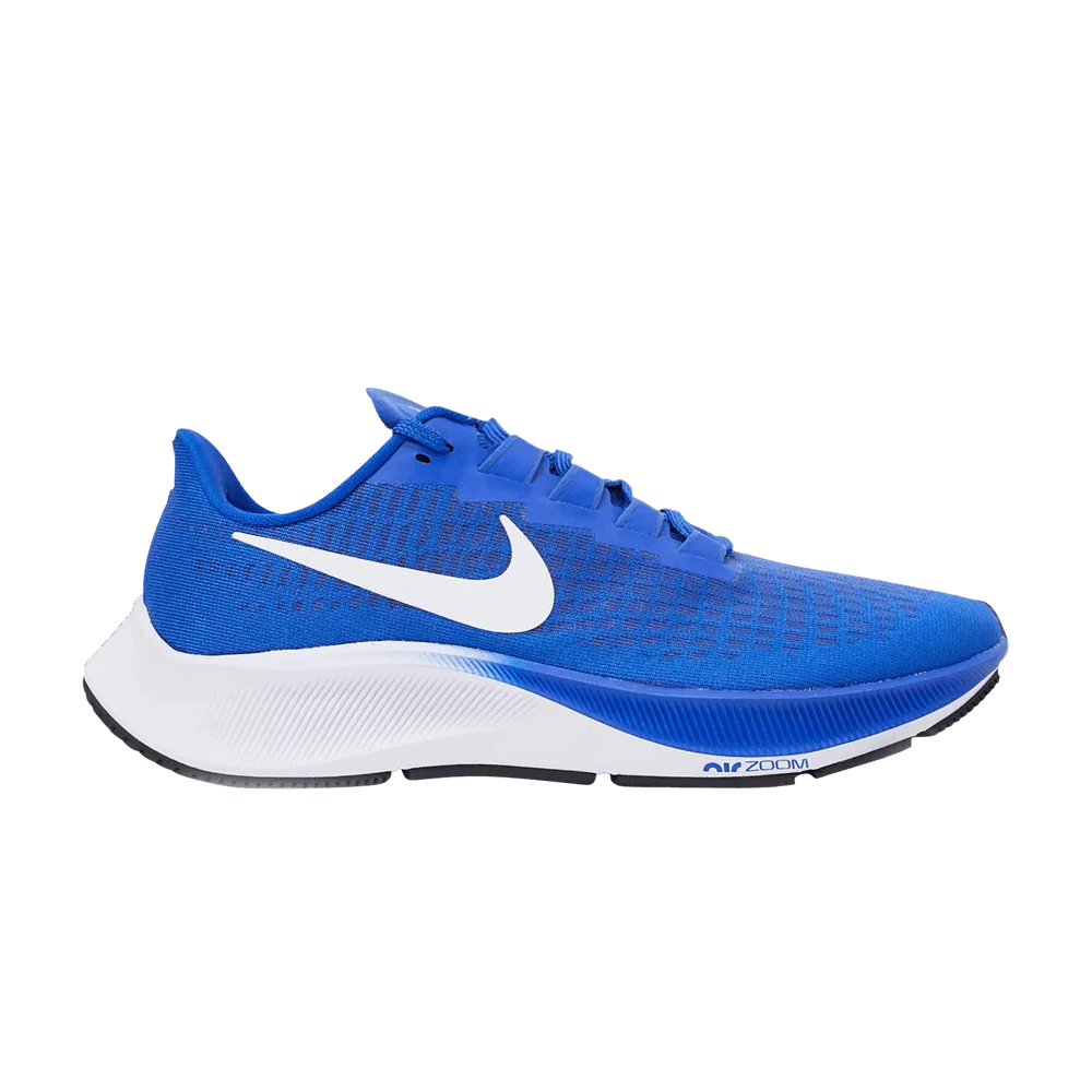 Krossovki-Nike-Wmns-Air-Zoom-Pegasus-37-TB-Game-Royal