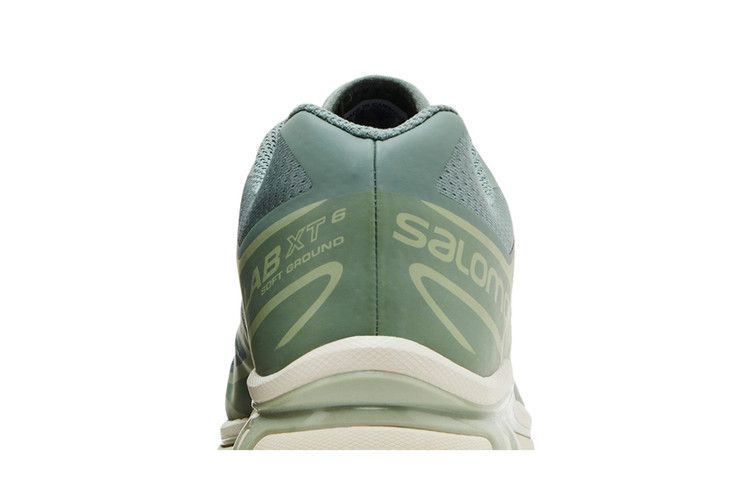 Кроссовки Salomon XT-6 'Laurel Wreath'