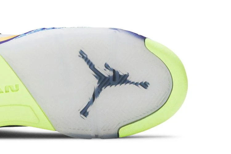 Кроссовки Air Jordan 5 Retro SE GS 'What The'