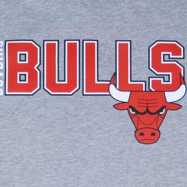 Футболка 2017 Bulls Colors Tee by EVISU