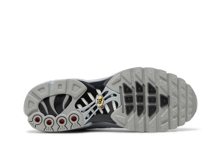 Кроссовки Nike Air Max Plus TN 'Wolf Grey'