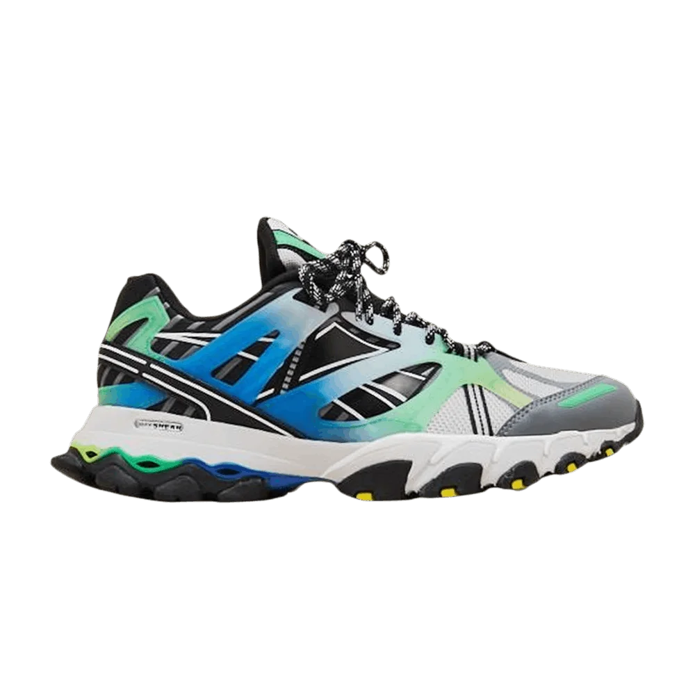 Кроссовки Reebok DMX Trail Shadow 'Gradient Pack - Bottle Green'
