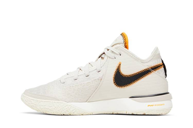 Кроссовки Nike Zoom LeBron NXXT Gen EP 'Da Vinci'
