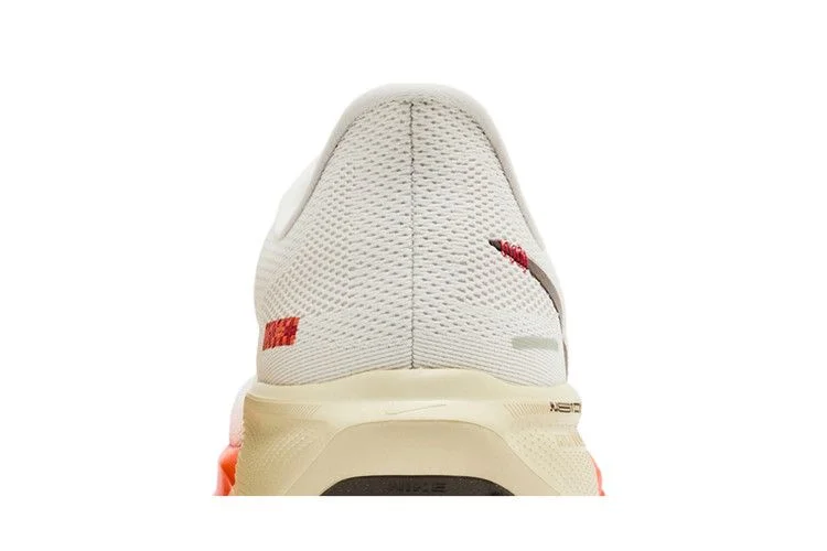 Кроссовки Nike Air Zoom Pegasus 41 'Year of the Snake'