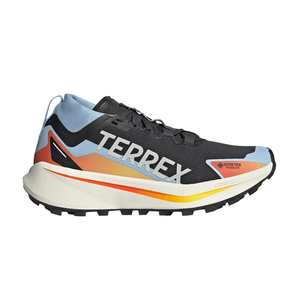 Krossovki-adidas-Wmns-Terrex-Agravic-GORE-TEX-Trail-Core-Black-Cloud-White-Glow-Blue