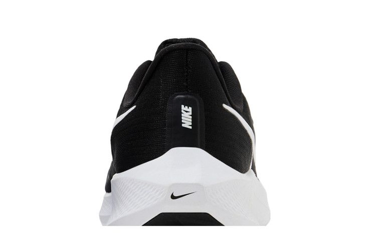 Кроссовки Nike Wmns Air Zoom Pegasus 39 TB 'Black White'