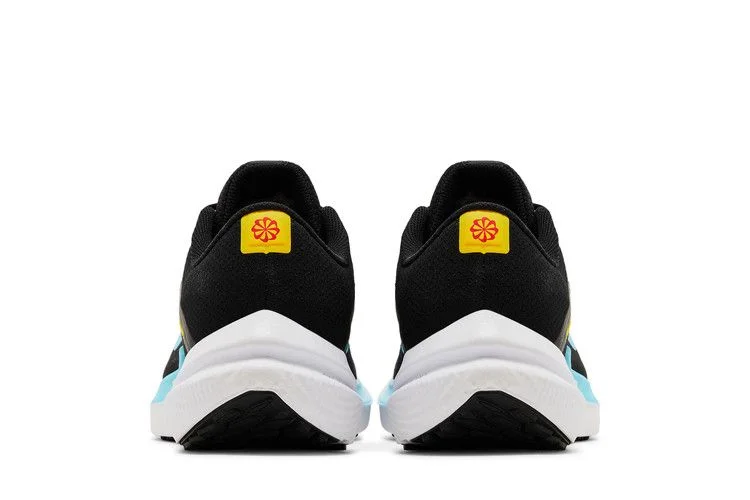 Кроссовки Nike Wmns Winflo 10 'Black Baltic Blue'