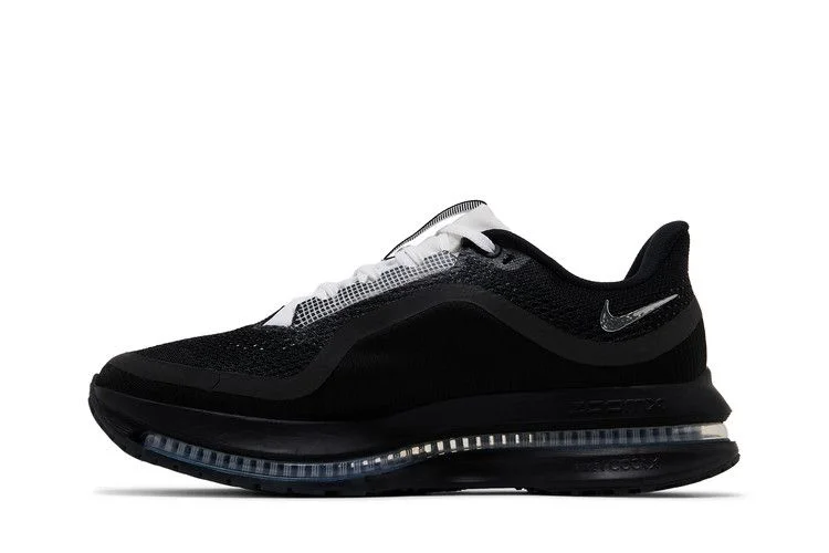 Кроссовки Nike Pegasus Premium SP 'Black Metallic Silver'