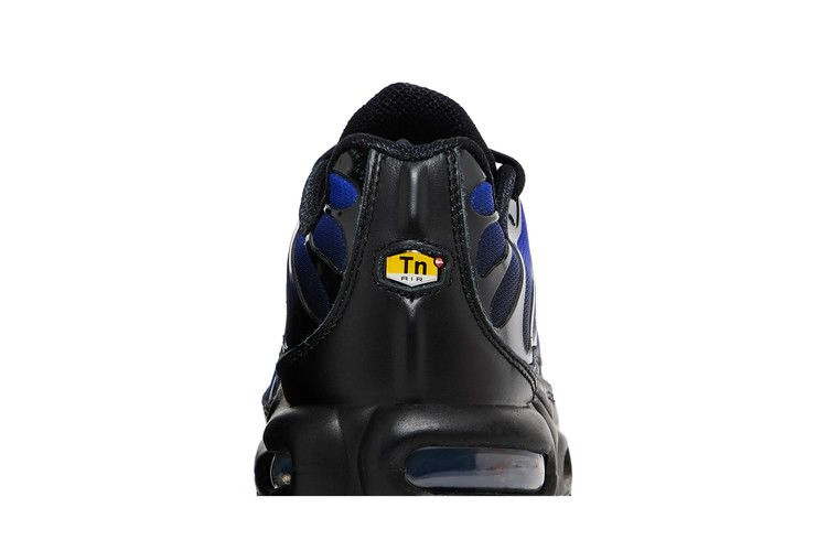 Кроссовки Nike Air Max Plus Premium 'Black Racer Blue'