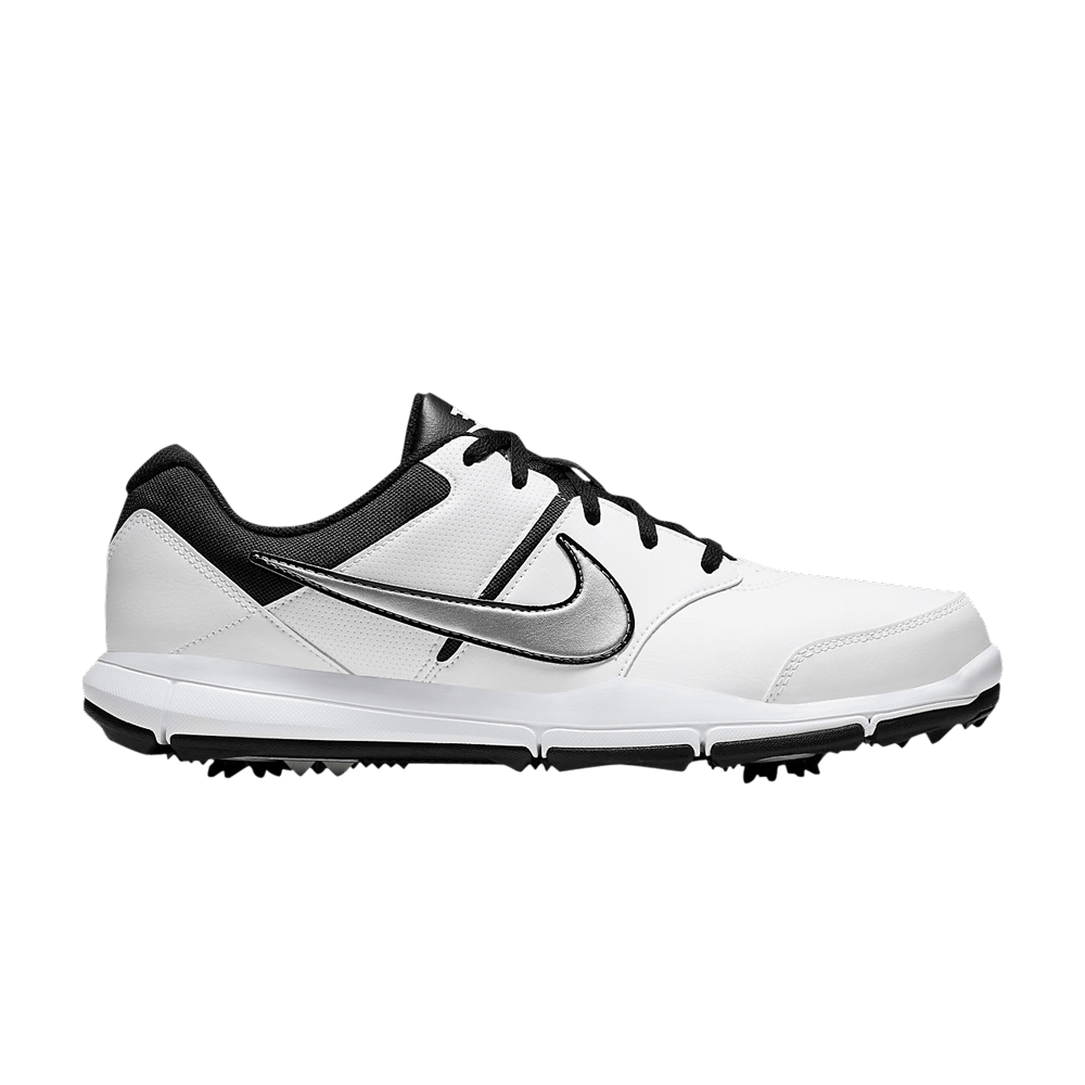 Кроссовки Nike Durasport 4 Wide 'White Metallic Silver'