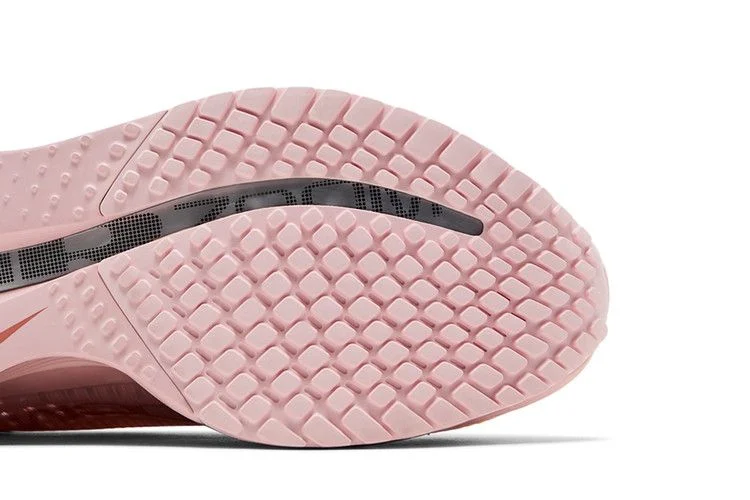 Кроссовки Nike Wmns Pegasus Premium 'Atmosphere'