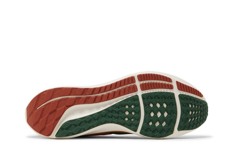 Кроссовки Hola Lou x Nike Air Zoom Pegasus 39 'A.I.R.'