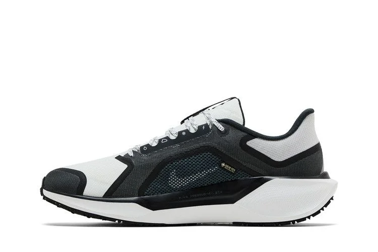 Krossovki-Nike-Air-Zoom-Pegasus-41-GORE-TEX-Iron-Grey-Summit-White-2