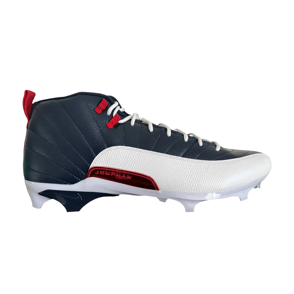 Krossovki-Air-Jordan-12-Alpha-Menace-3-Howard-University-PE