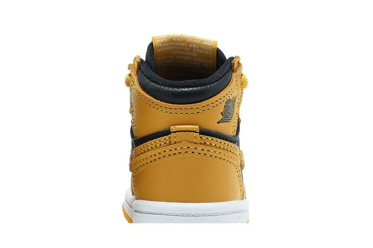 Кроссовки Air Jordan 1 Retro High OG TD 'Pollen'