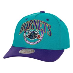 Mitchell-Ness-Crown-Jewels-Pro-Snapback-HWC-Charlotte-Hornets-Hat-300x300