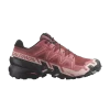 wmns-speedcross-6-cow-hide-english-rose-l47301100-100x100