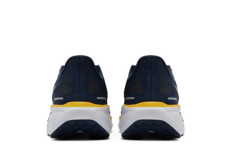 Кроссовки Nike Air Zoom Pegasus 41 'Michigan'