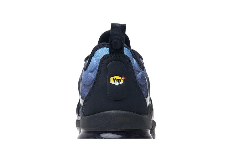 Кроссовки Nike Air VaporMax Plus 'Photo Blue'
