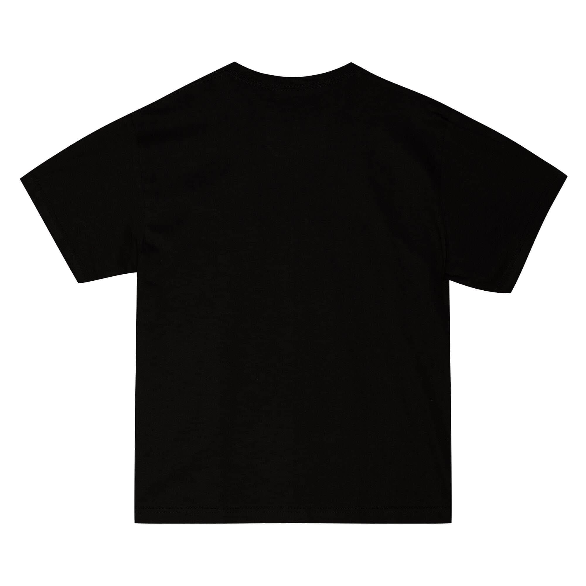 Футболка Mitchell & Ness Monochrome SS Boston Celtics T-Shirt