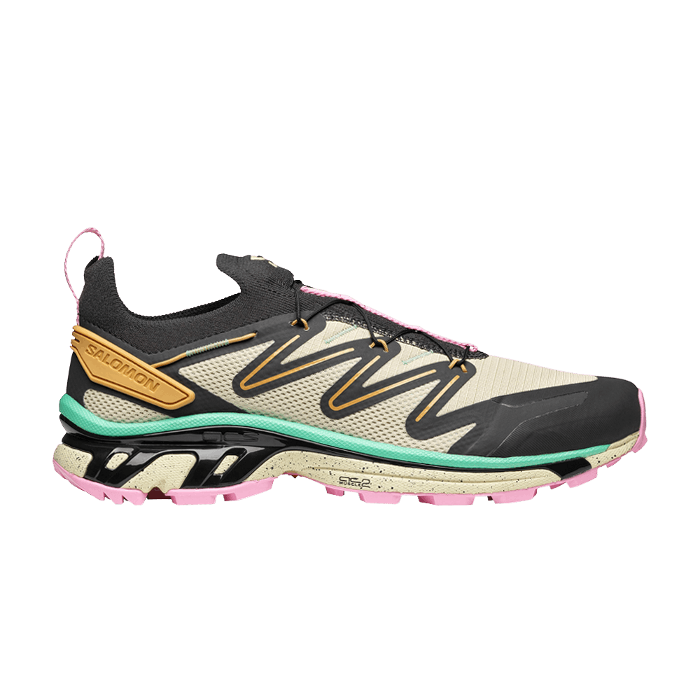 Кроссовки Salomon XT-Rush 2 'Moth Phantom'