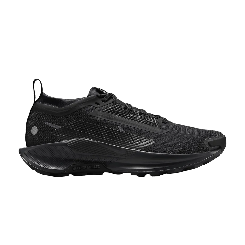 Кроссовки Nike Wmns Pegasus Trail 5 'Black'