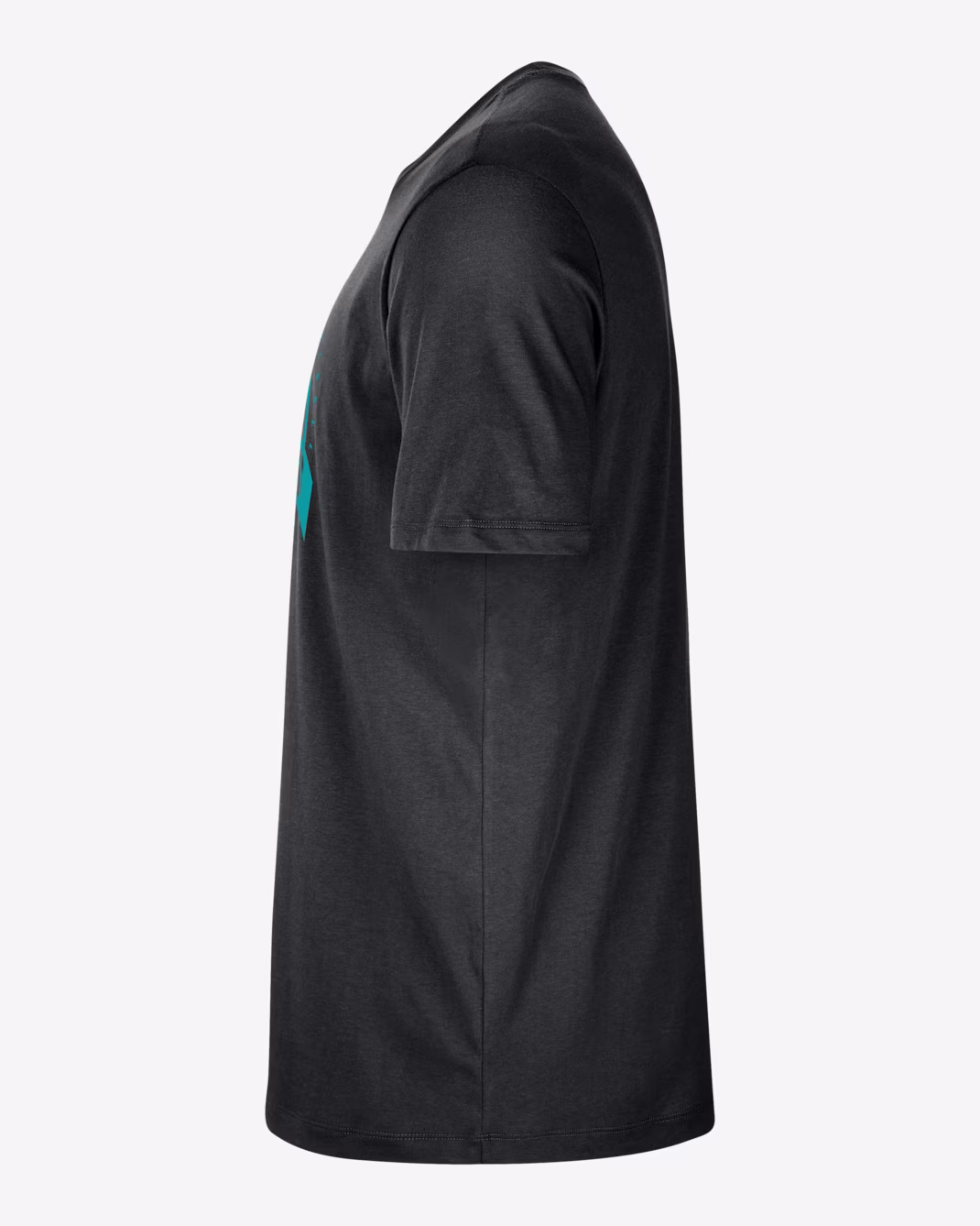 Мужская тренировочная футболка Nike NBA Charlotte Hornets Black