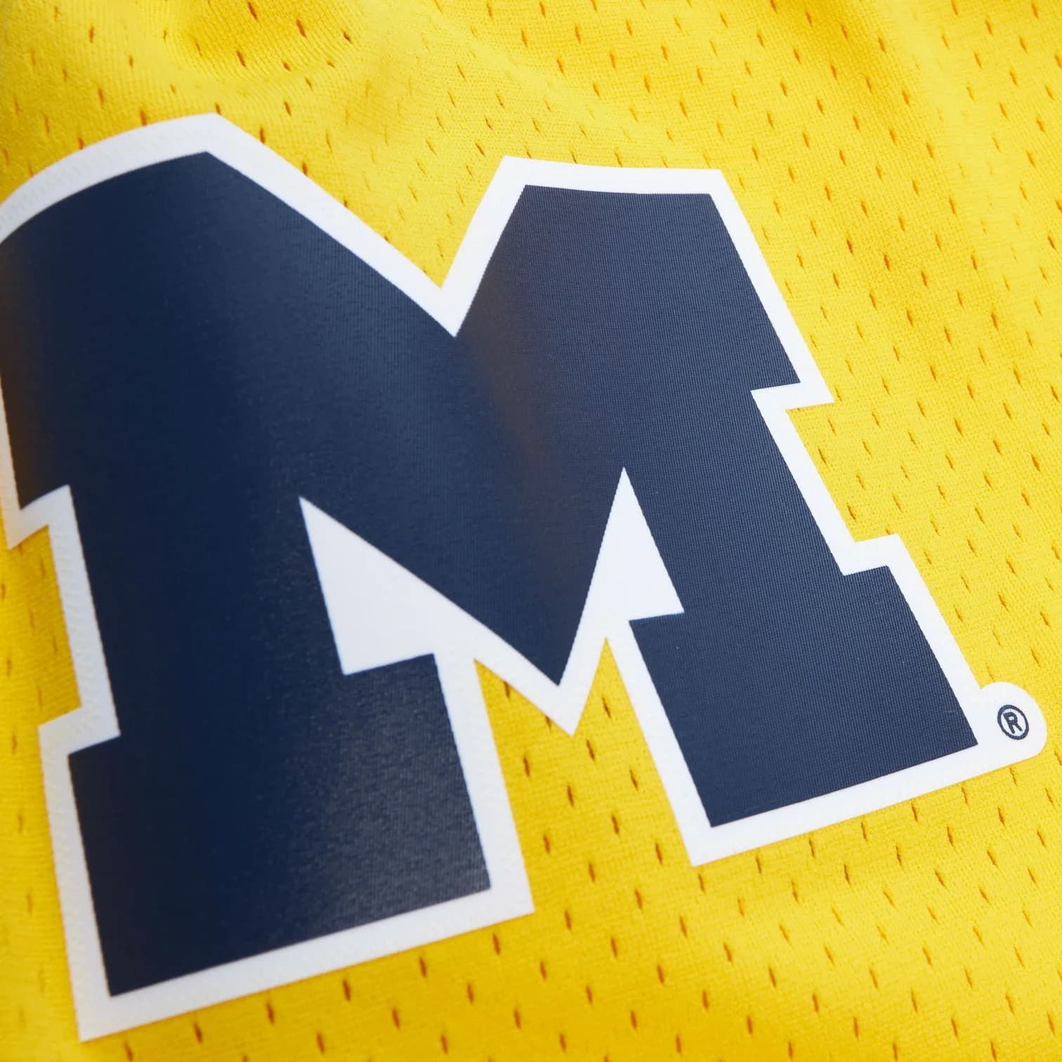 Спортивные шорты Mitchell & Ness Michigan University 1991 HWC Throwback Swingman NCAA Shorts