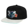Mitchell-Ness-SSBSTS-Snapback-HWC-Charlotte-Hornets-Hat-100x100